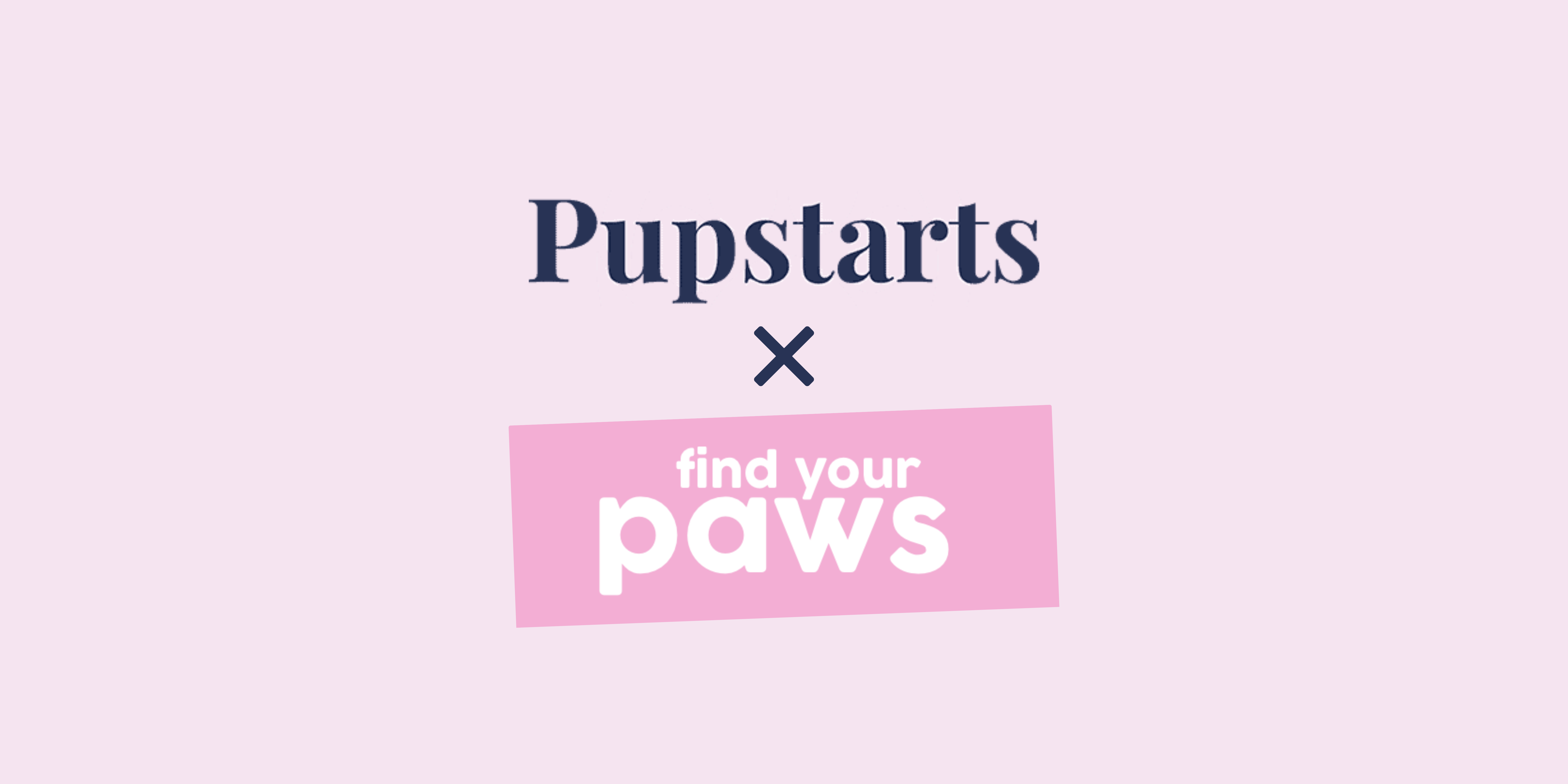 Pupstarts Breeders & Find Your Paws: A Journey in Educating Breeders and Responsible Dog Owners 