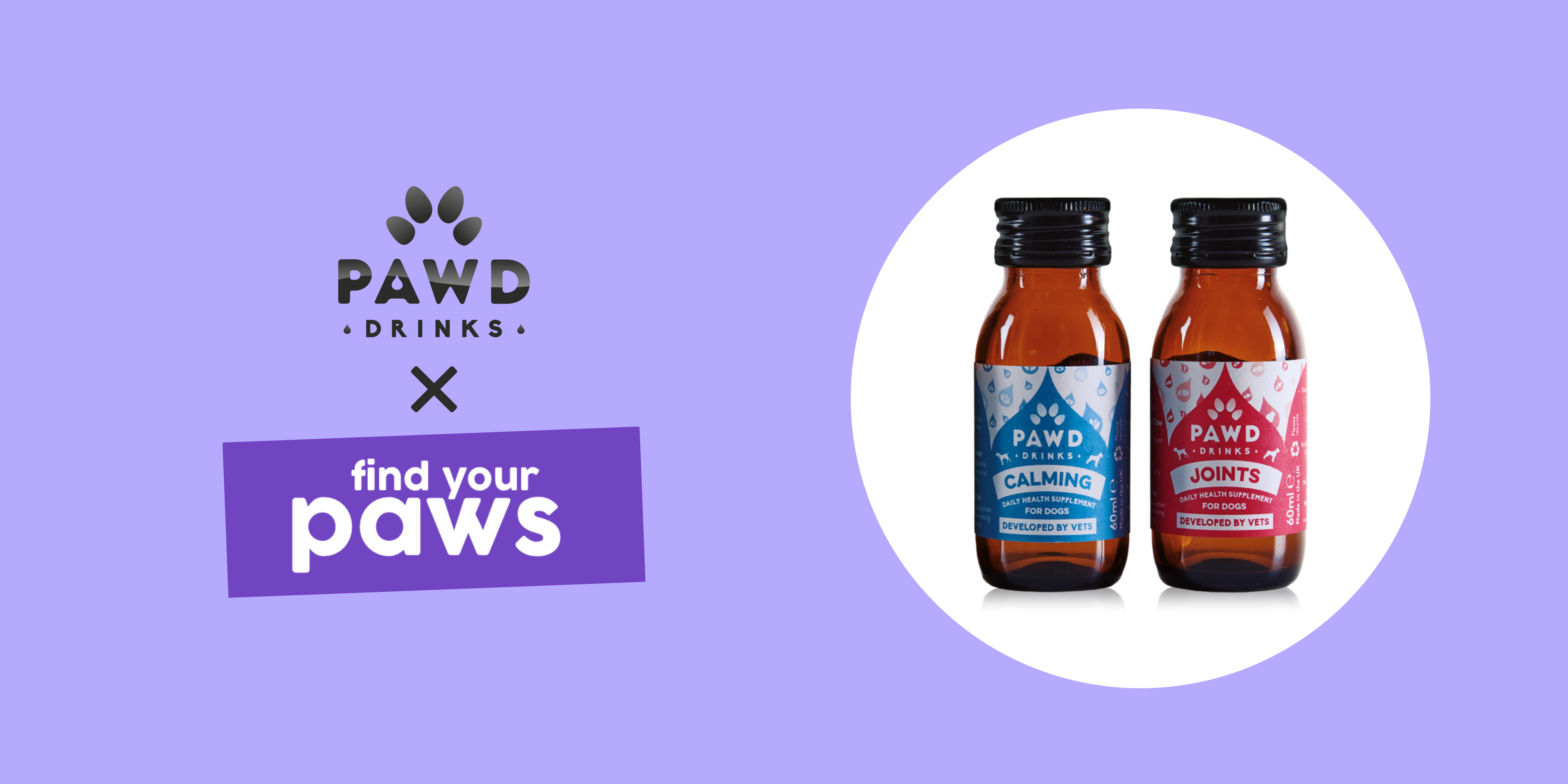 Find Your Paws & PAWD DRINKS Unite to Support Rehomed Dogs